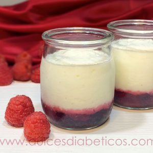 Vasitos de yogur y frutos rojos sin azucar