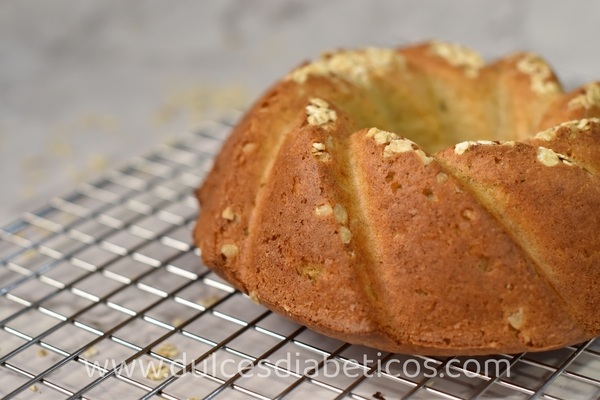 bizcocho de avena integral